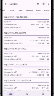 LibreTorrent screenshot 6