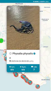 MedusApp screenshot 2