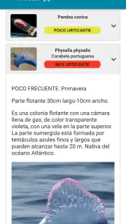 MedusApp screenshot 6