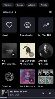 Metrolist screenshot 6