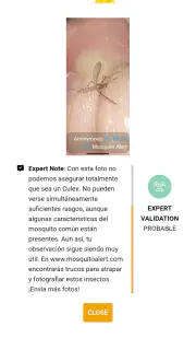 Mosquito Alert screenshot 5
