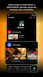 Netflix screenshot 2