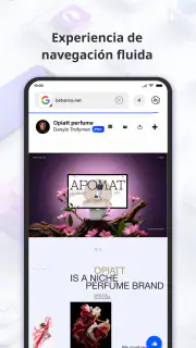 One Browsing screenshot 2