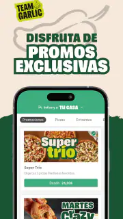 Papa Johns Pizza España screenshot 2