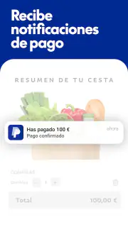 PayPal screenshot 3