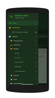 Pelota Libre screenshot 3