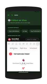 Pelota Libre screenshot 4