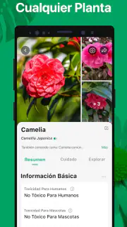 PictureThis Identificar Planta screenshot 2
