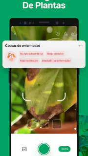 PictureThis Identificar Planta screenshot 4