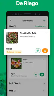 PictureThis Identificar Planta screenshot 5