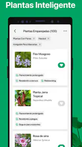 PictureThis Identificar Planta screenshot