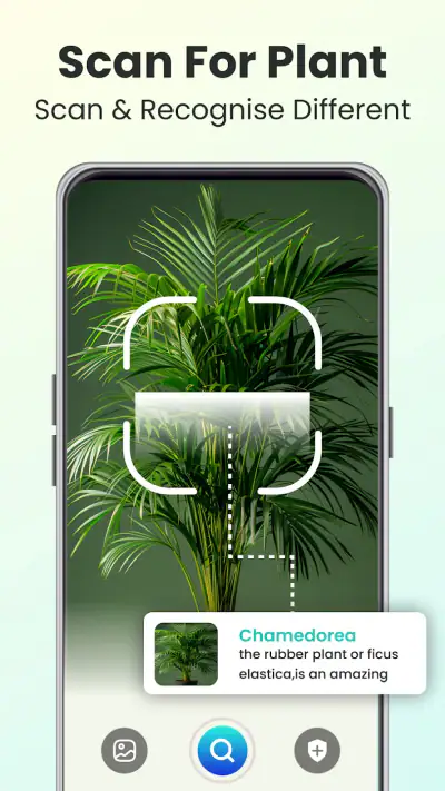 Plant Identifier - Plant Care screenshot 1