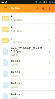 Rapidgator.net File Manager screenshot 3