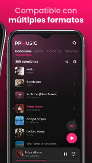 Reproductor de Música Offline screenshot 2
