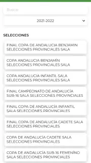 RFAF screenshot 2