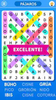 Sopa de Letras Español screenshot 1