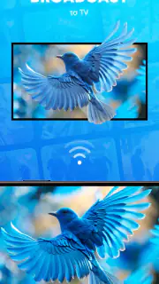 SPL - Smarter Player Lite screenshot 3