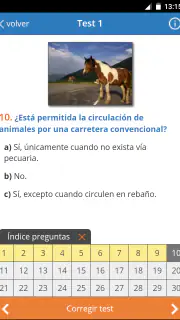 Todotest: Test de conducir screenshot 1