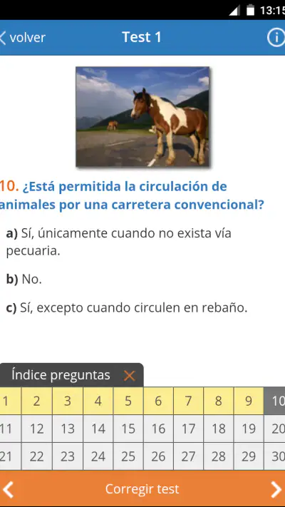 Todotest: Test de conducir screenshot 1