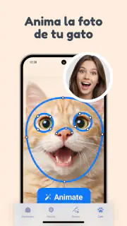 Traductor de lenguaje de Gato screenshot 6