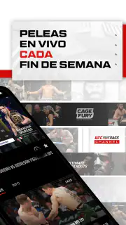 UFC screenshot 2