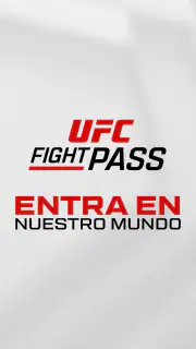 UFC screenshot 7