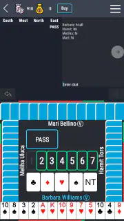 Ultimate Bridge screenshot 2