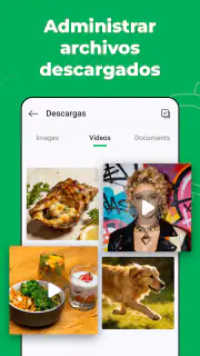 Web Scanner – Chat Dual screenshot 5