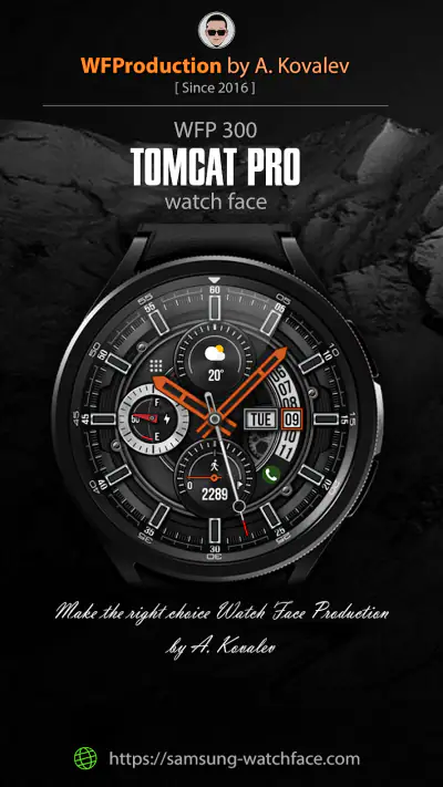 WFP 300 Tomcat PRO screenshot 1