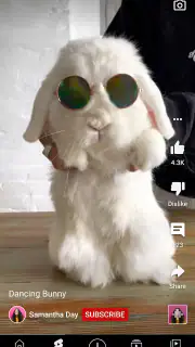 YouTube screenshot 2