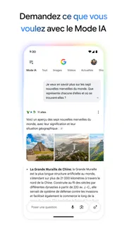 Google screenshot 2