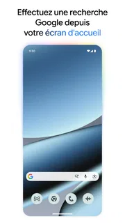 Google screenshot 5