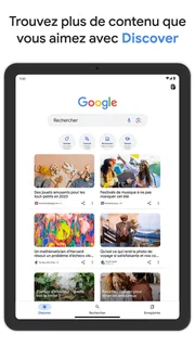 Google screenshot 6