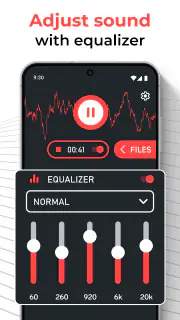 Amplificateur de microphone screenshot 7