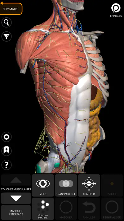 Anatomie - Atlas 3D screenshot 1