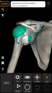 Anatomie - Atlas 3D screenshot 4
