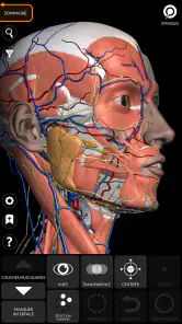 Anatomie - Atlas 3D screenshot