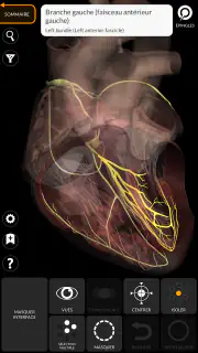 Anatomie - Atlas 3D screenshot 7