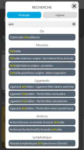 Anatomie - Atlas 3D screenshot