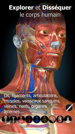 Anatomy Learning - Anatomie 3D screenshot 1