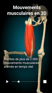 Anatomy Learning - Anatomie 3D screenshot 2