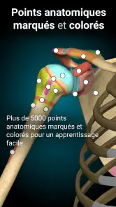 Anatomy Learning - Anatomie 3D screenshot