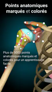 Anatomy Learning - Anatomie 3D screenshot 3