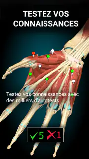Anatomy Learning - Anatomie 3D screenshot 5