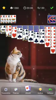 Araignée Solitaire screenshot 5