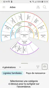 Arbre Familial de FamilySearch screenshot