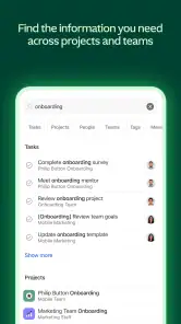 Asana screenshot