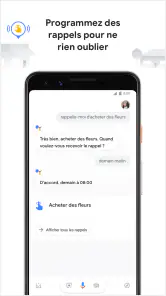 Assistant Google screenshot