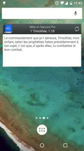 Bible Louis Segond PRO screenshot