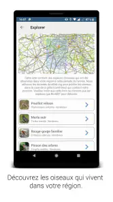 BirdNET screenshot